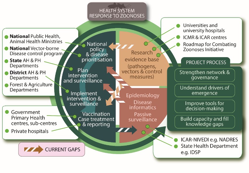 IndiaZooSystems – Strengthening One Health Responses To Zoonotic ...